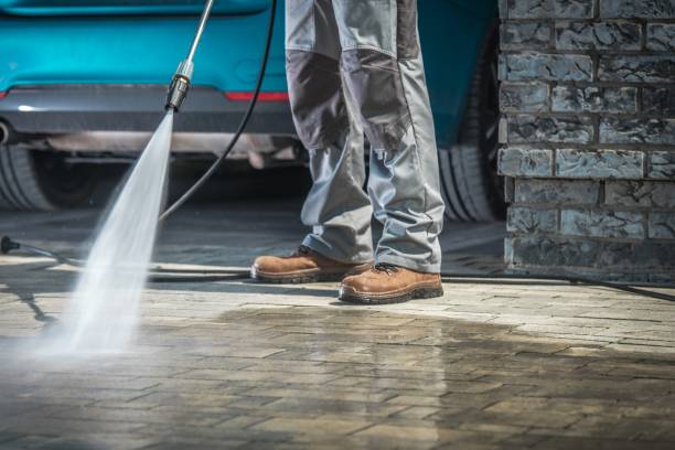 Best Soft Washing for Delicate Surfaces in Walden, NY